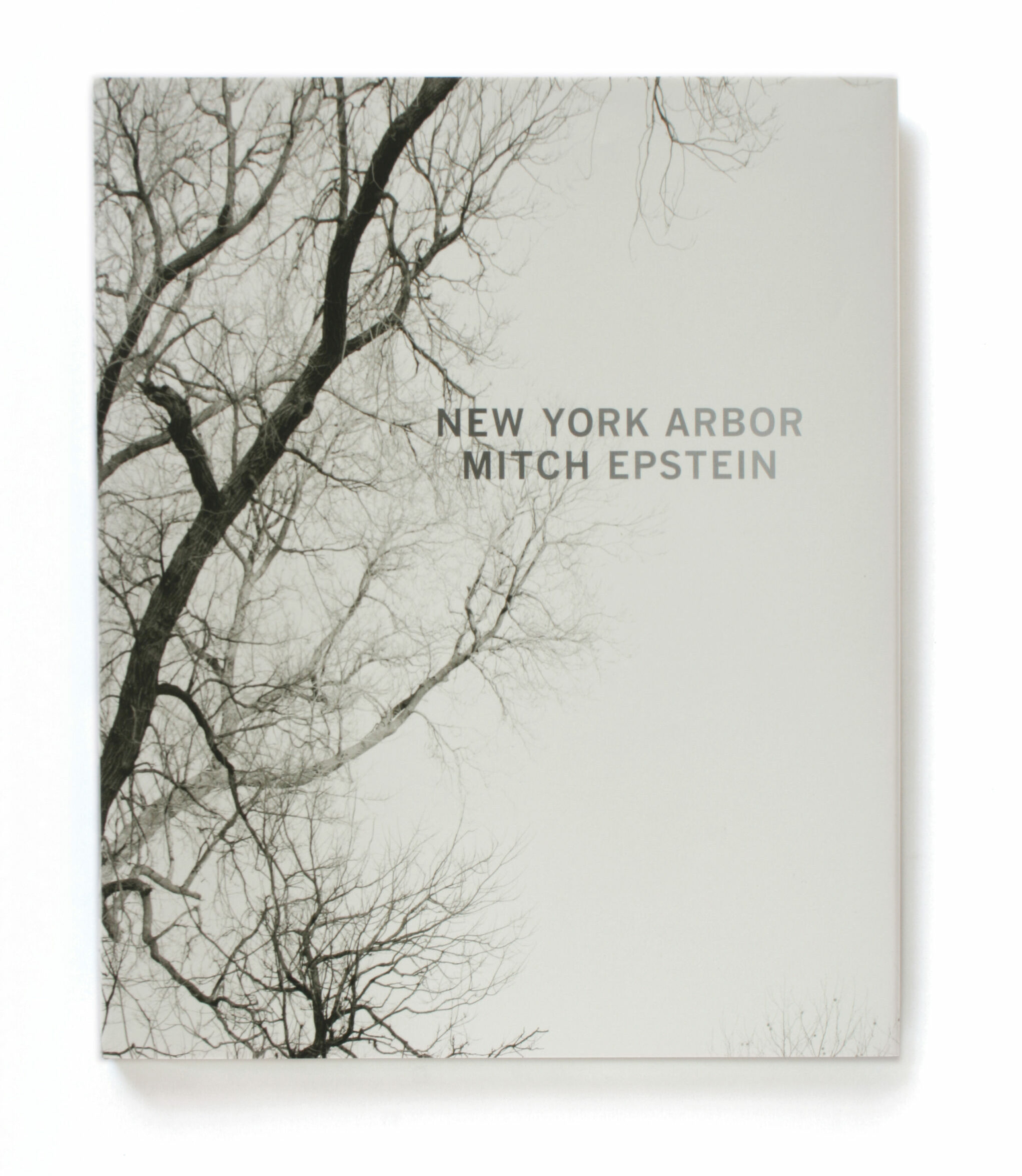 New York Arbor