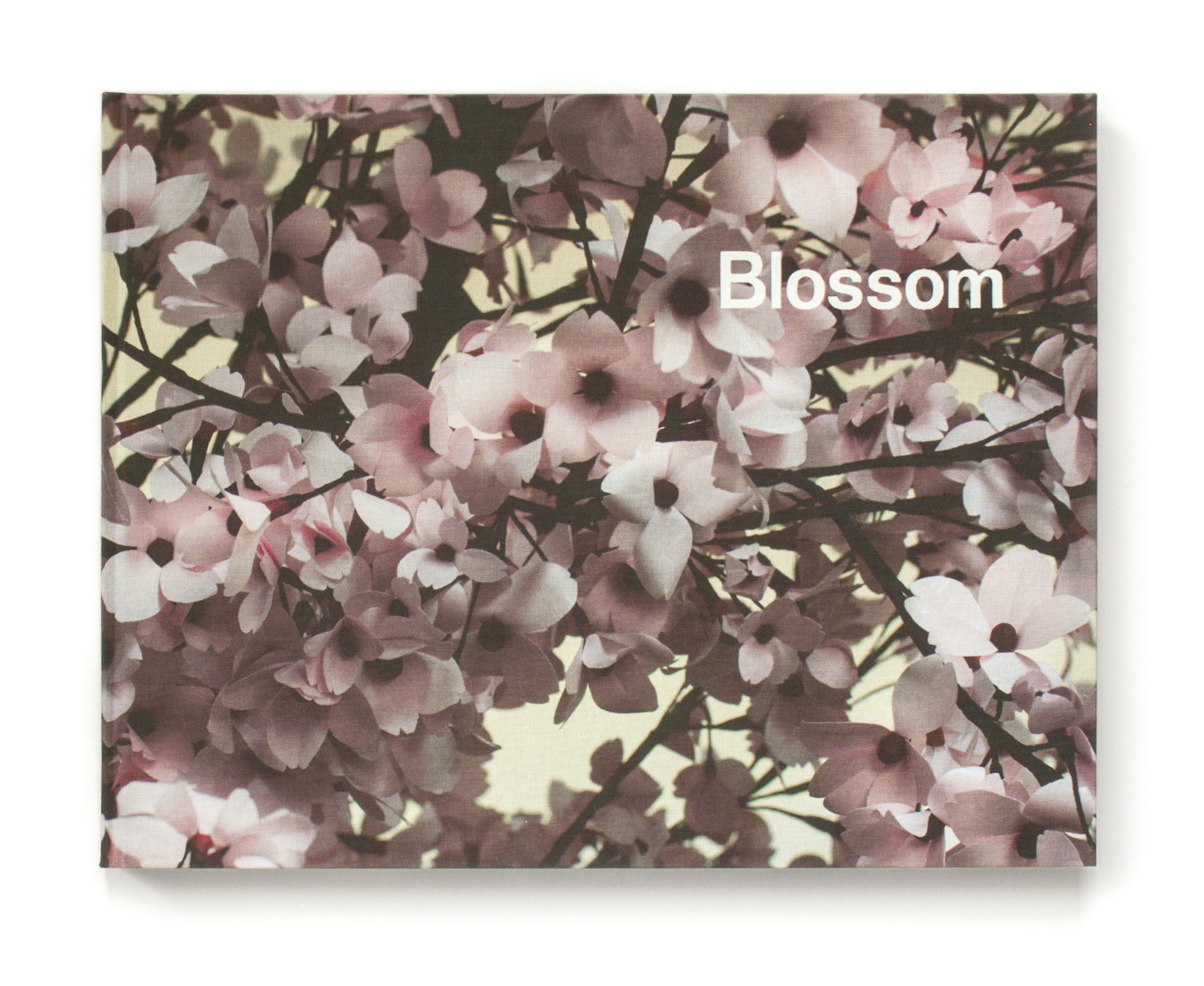 Blossom